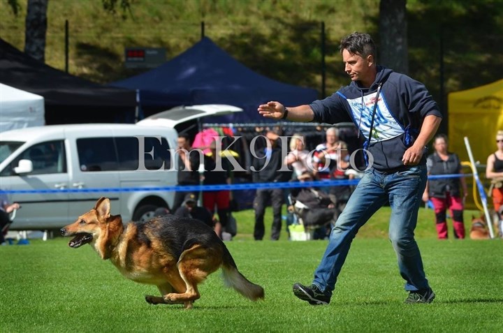 Julle fram&aring;tskick SM bor&aring;s